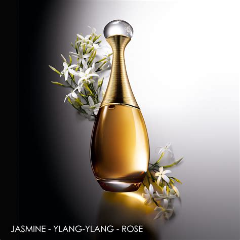 j'adore dior shopping china|dior parfums.